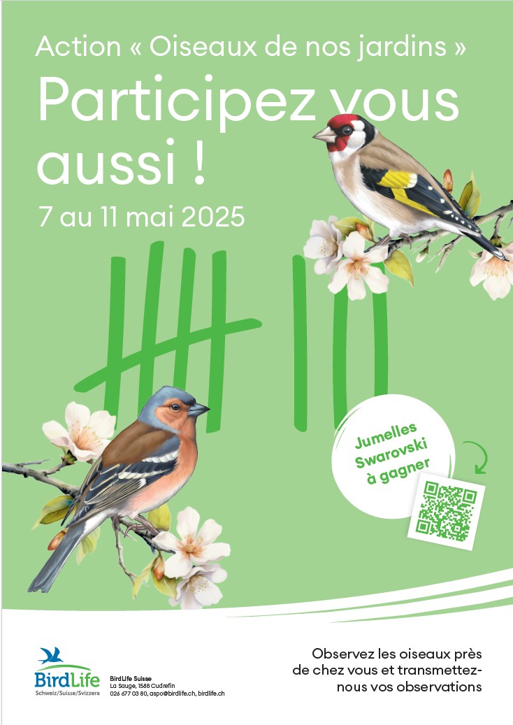 flyer_gartenvoegel_d.jpg