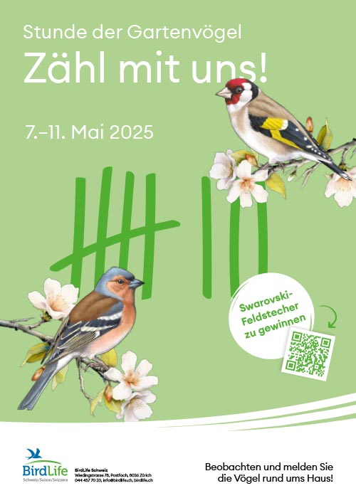 flyer_gartenvoegel_d.jpg