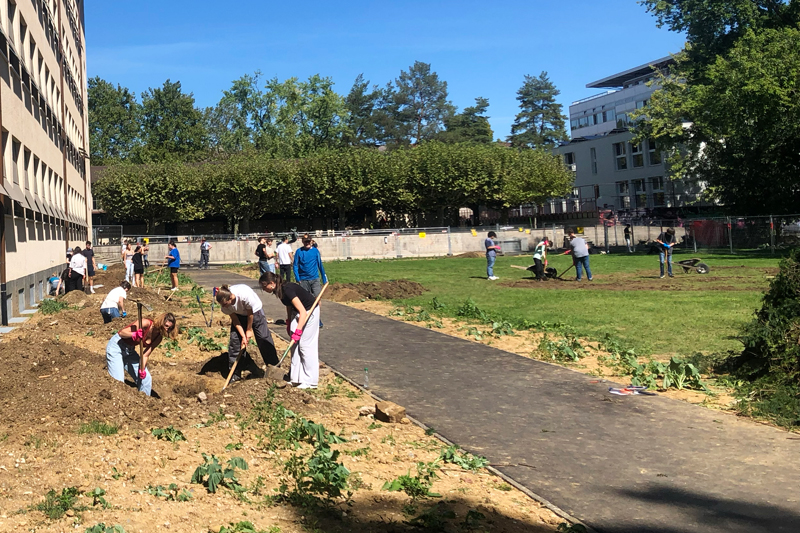 Schüler und Schüllerinnen an der Arbeit