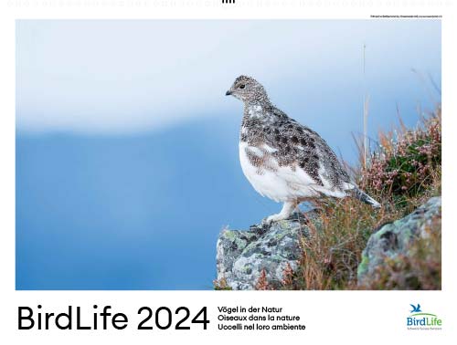 birdlife-kalender_2019.jpg