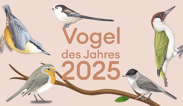 Logo Vogel des Jahres 2025