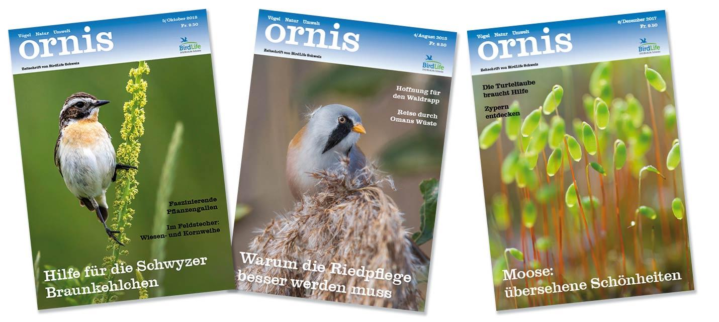 Ornis BirdLife Schweiz/Suisse/Svizzera