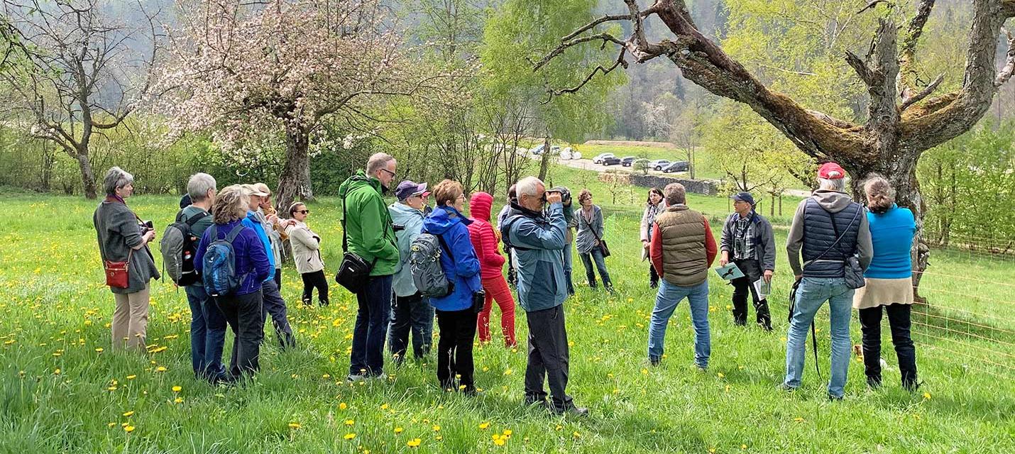 BirdLife Zug