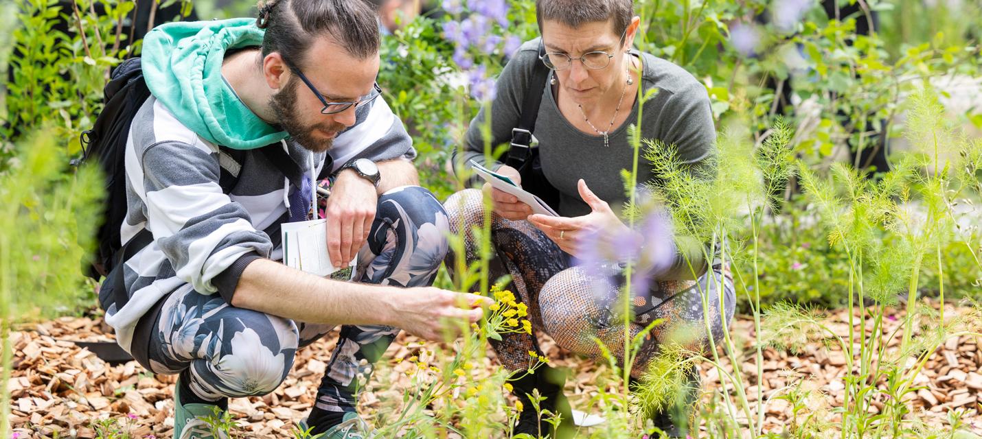 Naturzimmer 2024: 2 Menschen begutachten eine Pflanze