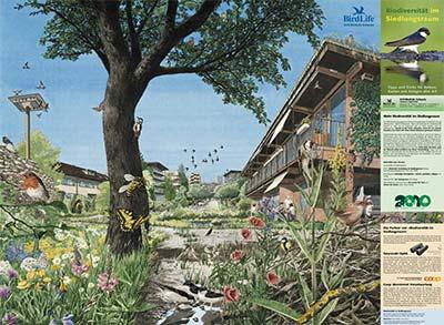Poster «Biodiversität im Siedlungsraum»