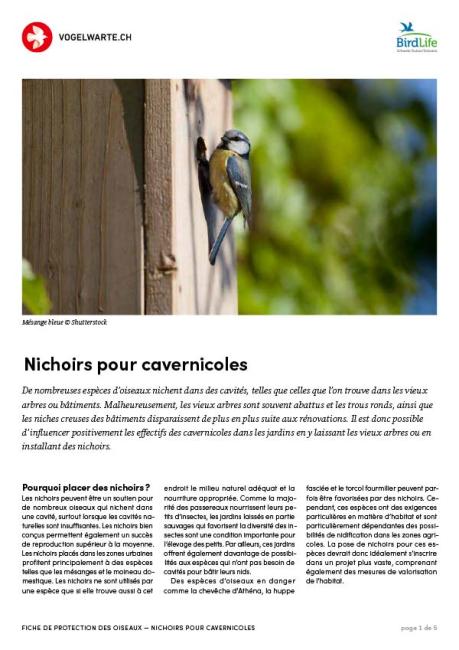 Nichoirs pour cavernicoles