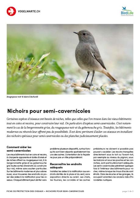 Nichoirs pour oiseaux semi-cavernicoles