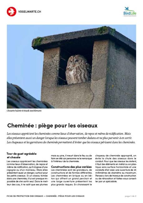 Cheminée : piège pour les oiseaux