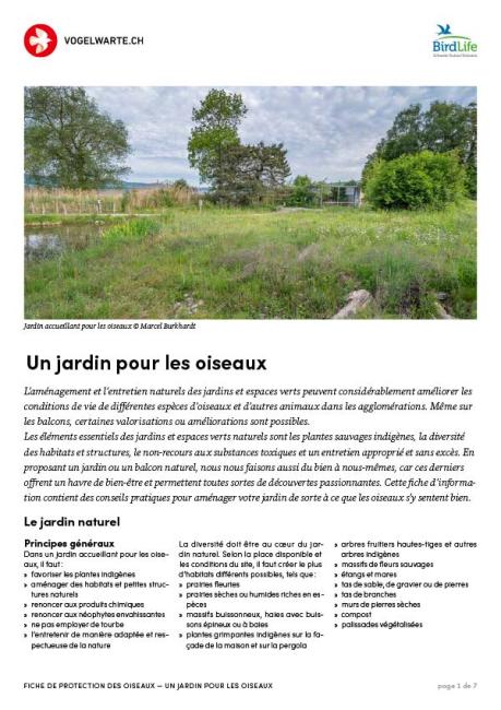 Un jardin pour les oiseaux