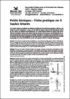 Petits biotopes – Saules têtards